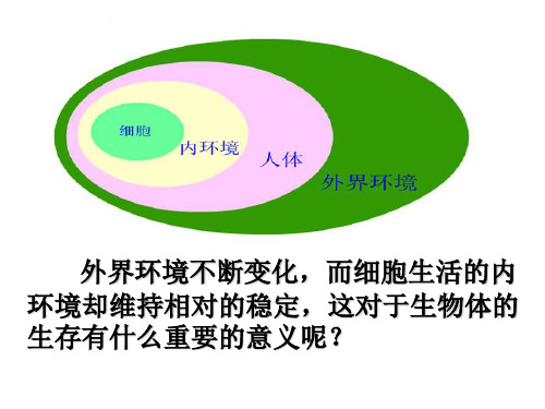 内环境稳态的重要性_2