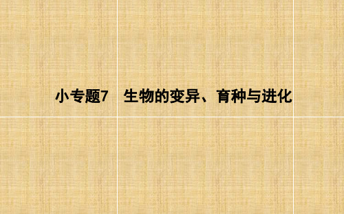 高考生物二轮复习 小专题7 生物的变异、育种与进化名师课件