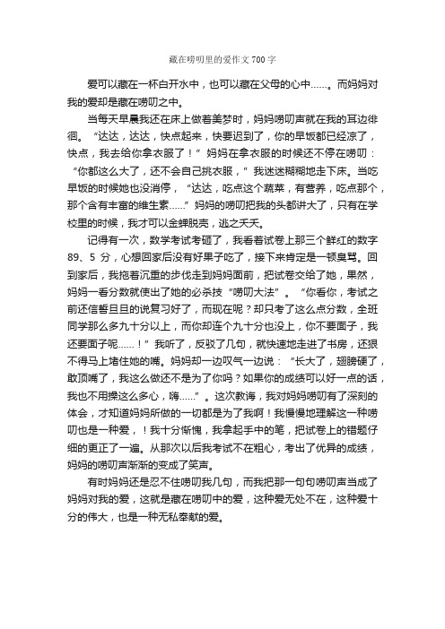 藏在唠叨里的爱作文700字