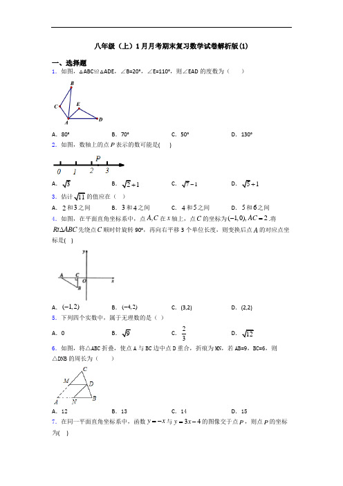 八年级(上)1月月考期末复习数学试卷解析版(1)