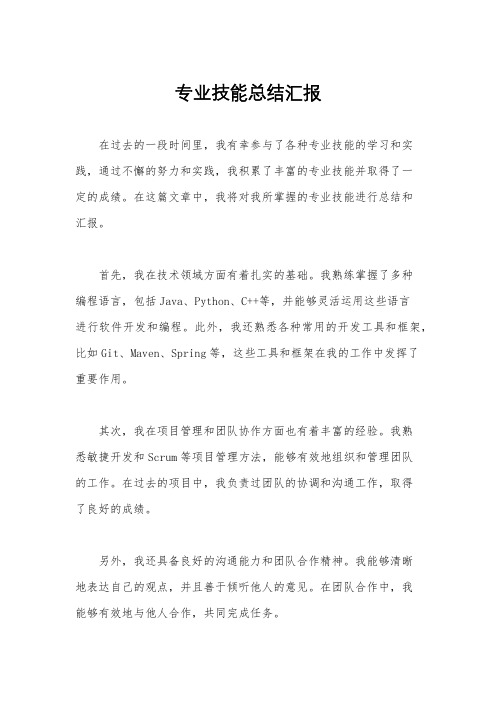 专业技能总结汇报