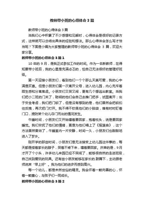 教师带小班的心得体会3篇