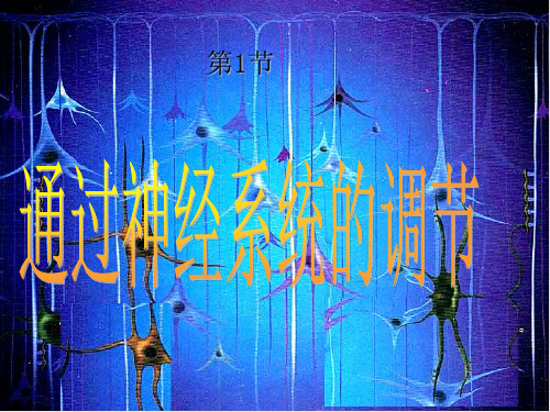 [人教版]《通过神经系统的调节》优质课件1