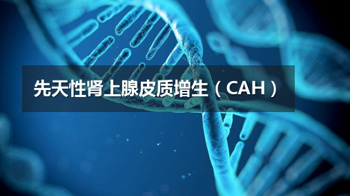 先天性肾上腺皮质增生(CAH)基因检测