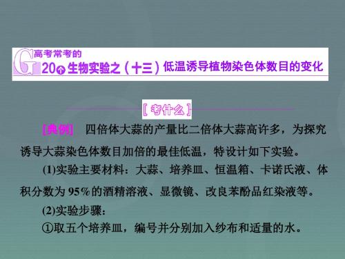 2016届高考生物一轮复习 低温诱导染色体加倍及生物变异类型来源探究课件