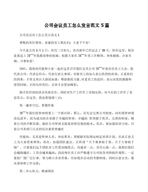 公司会议员工怎么发言范文5篇