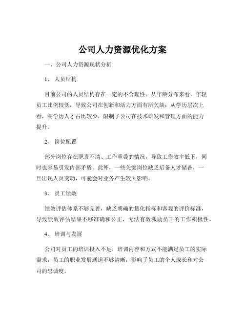 公司人力资源优化方案