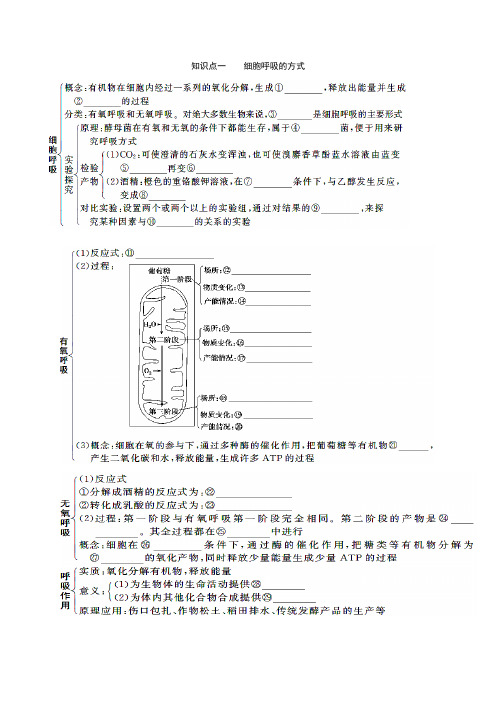 细胞呼吸讲义全面