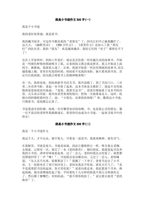 我是小书迷作文500字