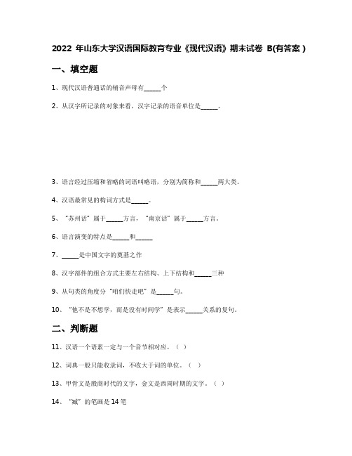 2022年山东大学汉语国际教育专业《现代汉语》期末试卷B(有答案)