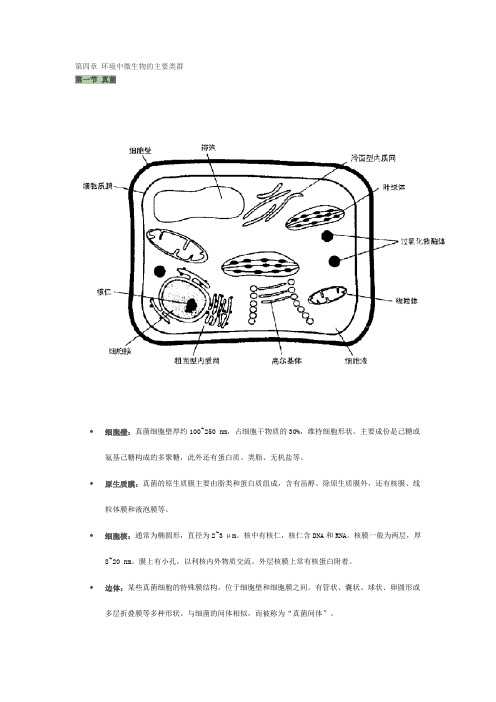 第四章 环境中微生物的主要类群