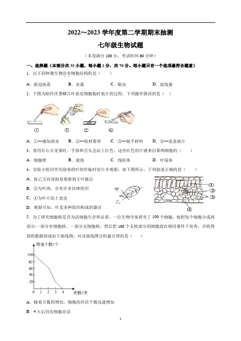 江苏省徐州市2022-2023学年七年级下学期期末生物试卷(含答案解析)