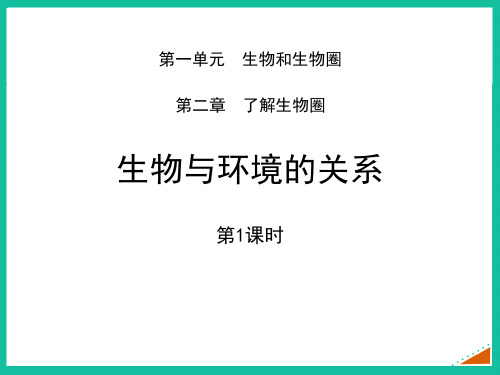 人教版七年级生物上册 生物与环境的关系 教学课件(第1课时)