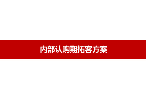 房地产营销策划-内部认购期拓客方案