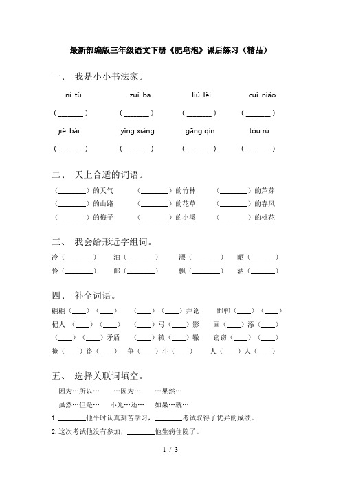 最新部编版三年级语文下册《肥皂泡》课后练习(精品)