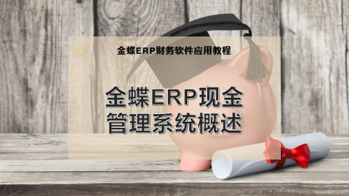 金蝶ERP现金管理系统概述