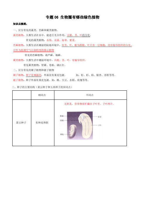 2019-2020学年人教版七年级生物上册知识梳理及过关检测五:生物圈中有哪些绿色植物