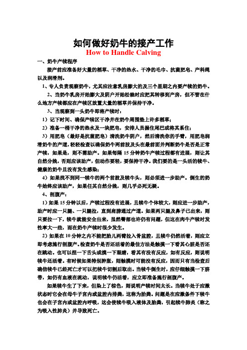 如何做好奶牛的接产工作(DOC4页)(免费资料)