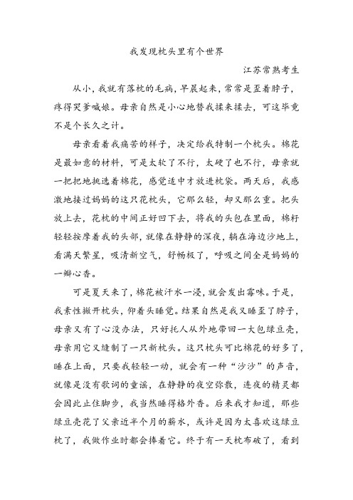 中考语文满分作文之我发现枕头里有个世界含专家点评