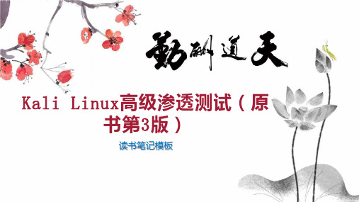 Kali Linux高级渗透测试(原书第3版)