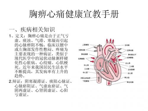 胸痹心痛