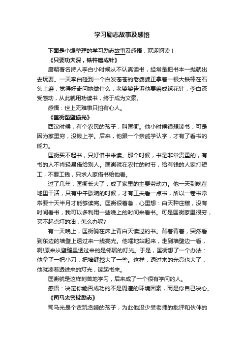 学习励志故事及感悟