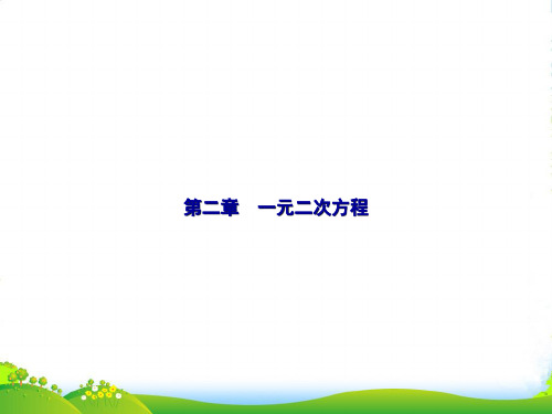 新北师大版九年级数学上册《认识一元二次方程》优课件