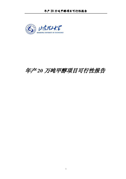 年产20万吨煤制甲醇生产工艺初步设计可行性报告