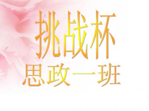 挑战杯简介