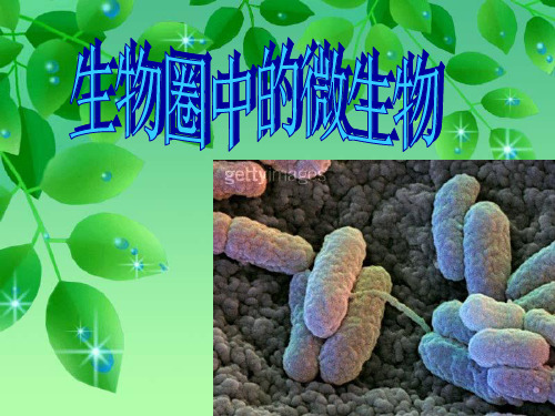 八上生物【第18章 生物圈中的微生物】