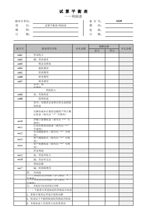 6210-6230 试算平衡表