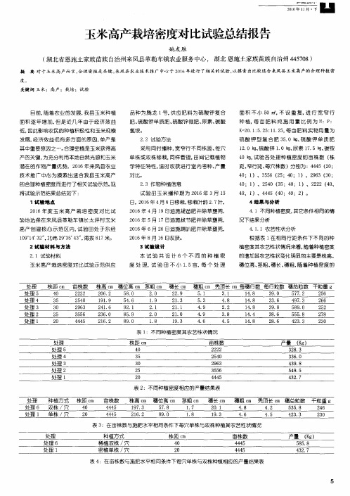 玉米高产栽培密度对比试验总结报告