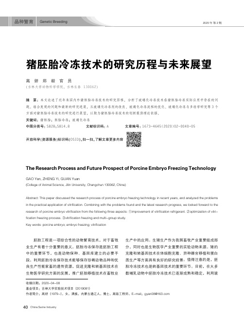 猪胚胎冷冻技术的研究历程与未来展望