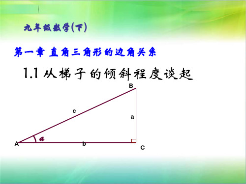 九年级数学下册第一章《直角三角形的边角关系》课件剖析