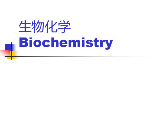 生物化学Biochemistry