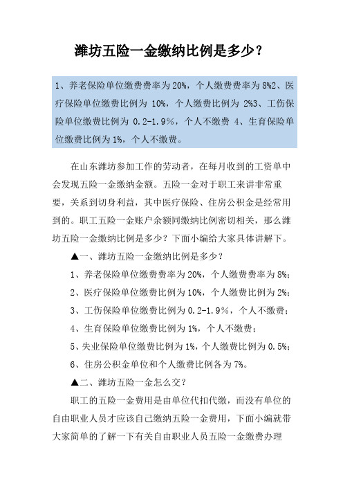 潍坊五险一金缴纳比例是多少？