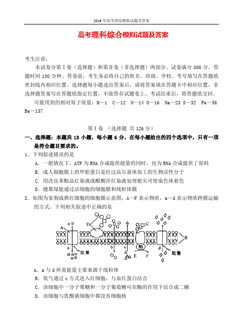 2019年高考理综模拟试题及答案