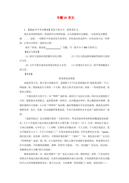 2018年中考语文真题试卷专项练习:专题21 作文(含解析)