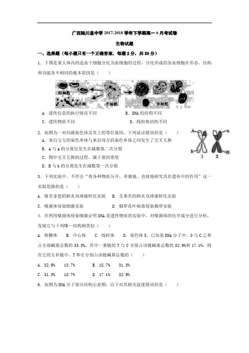 广西陆川县中学2017-2018学年高一下学期6月考生物试题