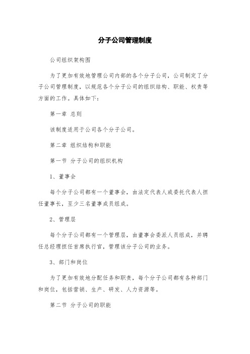 分子公司管理制度