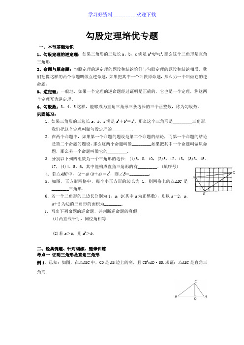 勾股定理的培优专题