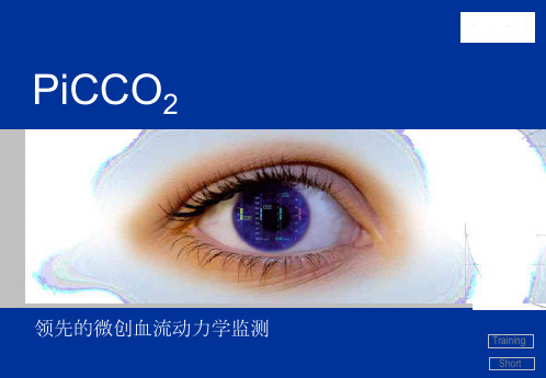 PiCCO2_中文