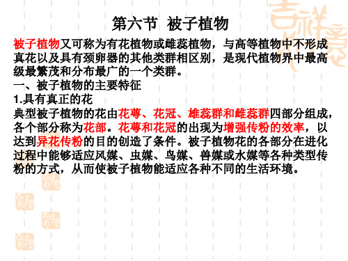 高中生物竞赛课件：植物学——被子植物