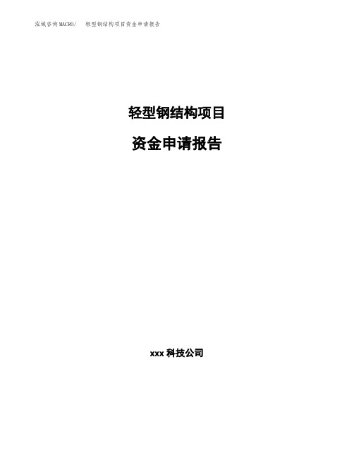 轻型钢结构项目资金申请报告