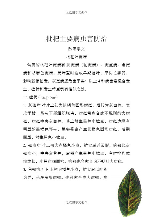 枇杷主要病虫害及防治措施