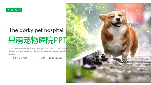 可爱呆萌宠物医院介绍PPT模板