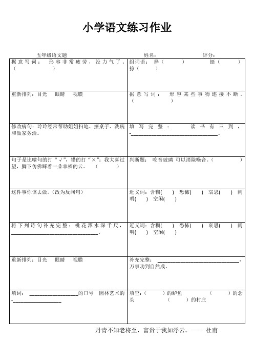 小学五年级语文精作细练II (86)