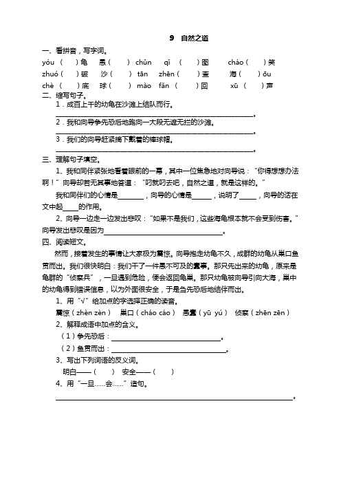 2020部编版四年级语文下册《9自然之道》课时练及答案