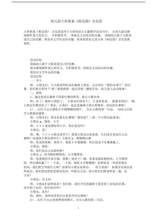 幼儿园大班语言教案《相反国》有反思.docx