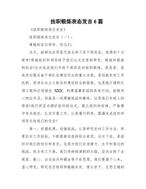 挂职锻炼表态发言6篇